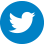 Twitter icon