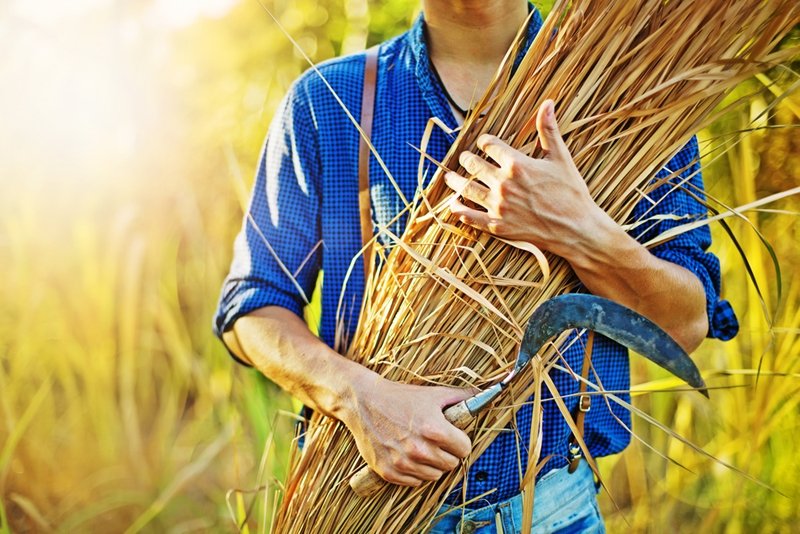 Organic farming is increasingly popular.