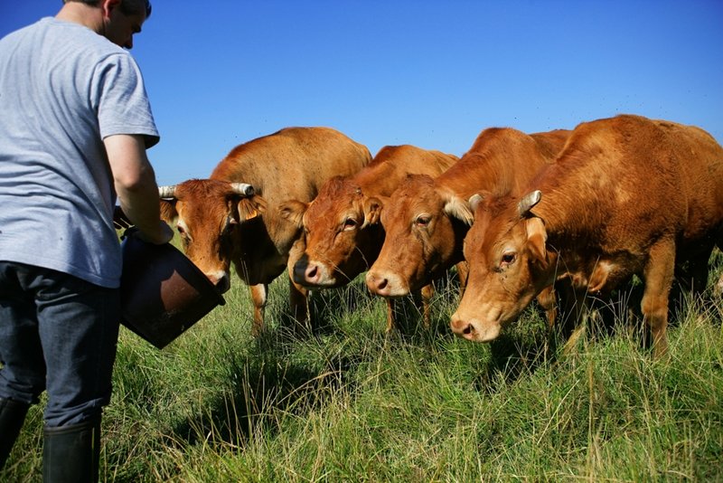 Farming insurance and cloud-computing technology. 